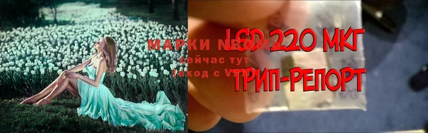 дживик Арсеньев