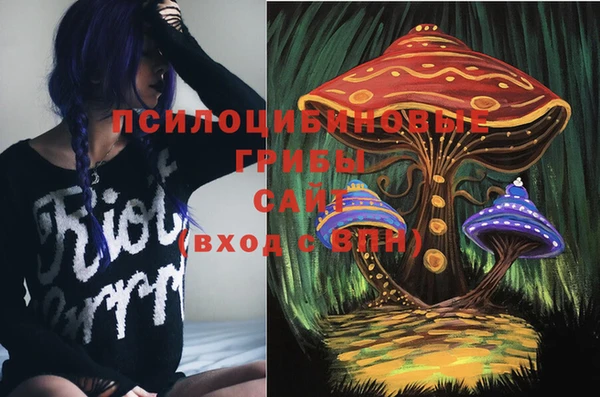 a pvp Армянск