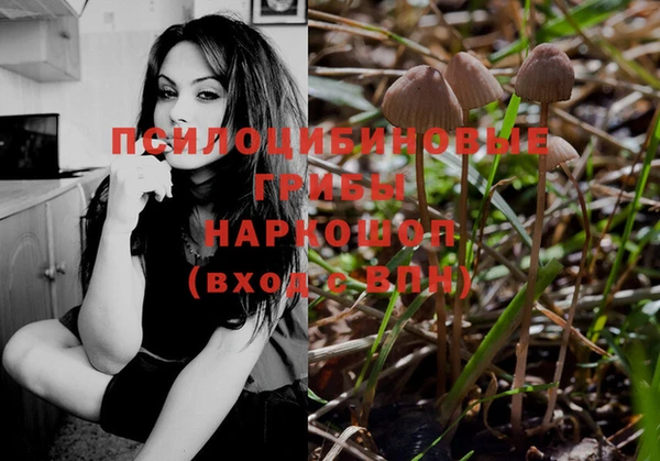 МДПВ Аркадак