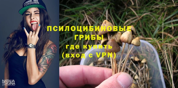 МДПВ Аркадак