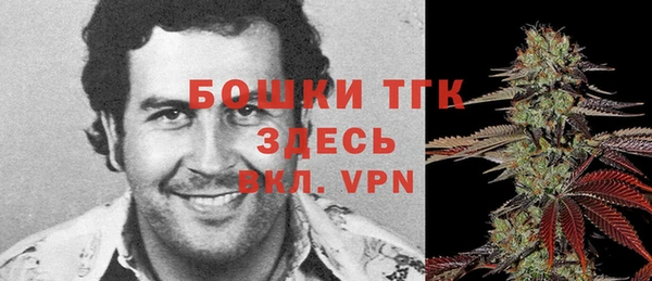 дживик Арсеньев