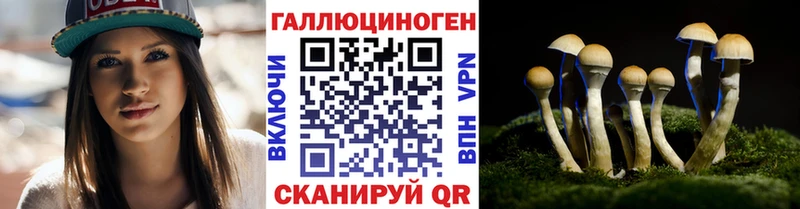 Галлюциногенные грибы GOLDEN TEACHER  MEGA рабочий сайт  Валдай 